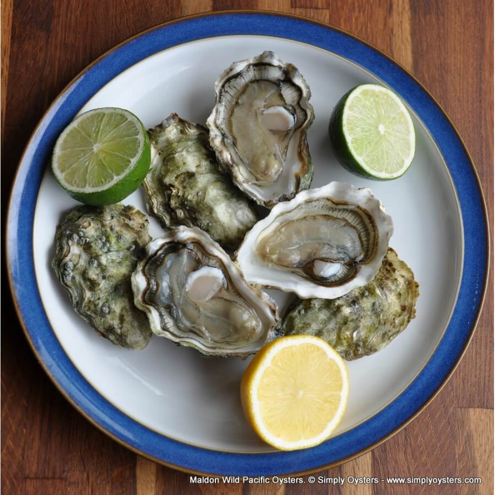Oyster Subscription Box UK Delivery Simply Oysters